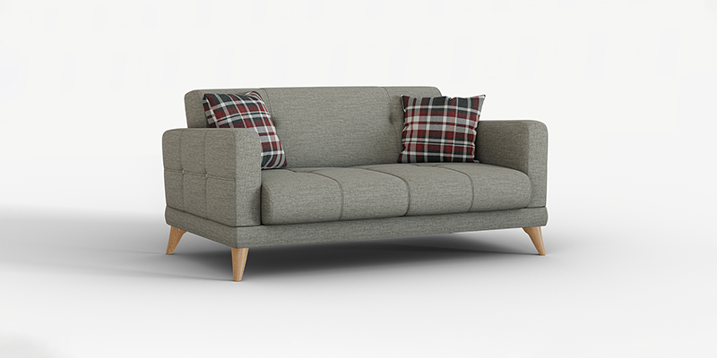 Mayer 2 Seater Sofa Bed